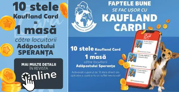 Revista Kaufland