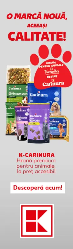 Newsletter CRM