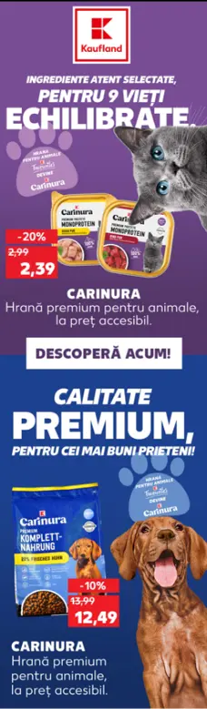 Newsletter CRM
