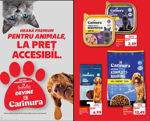 Revistă Digitală