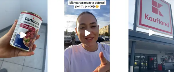 Marketing prin Influenceri