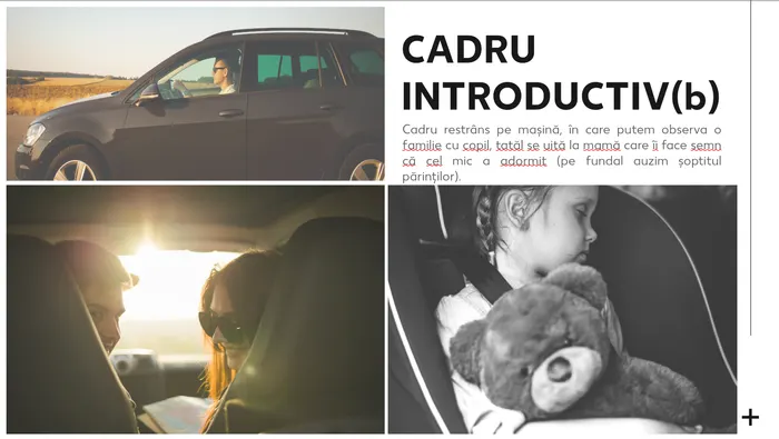 Introducere